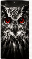 The Owl Folk cover